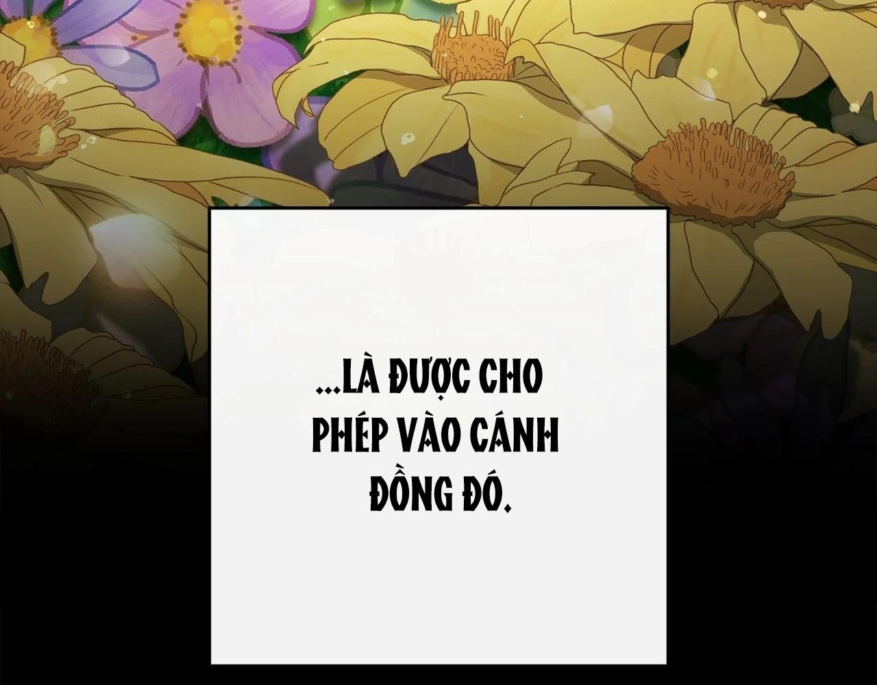 Chiến Binh Xương Trắng Thất Thủ Chapter 315 - Trang 2