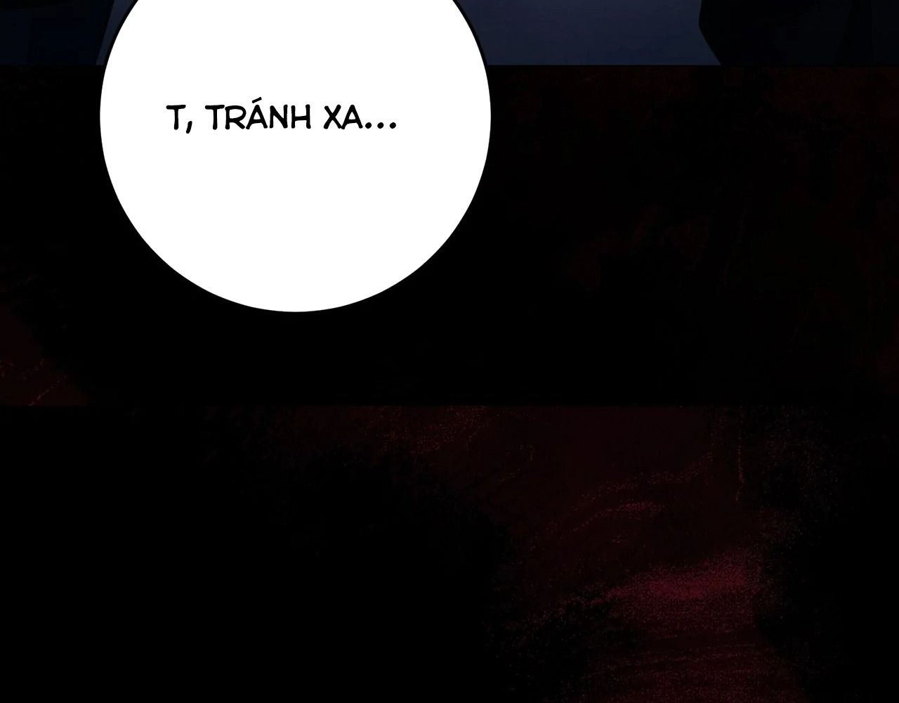 Chiến Binh Xương Trắng Thất Thủ Chapter 317 - Trang 2
