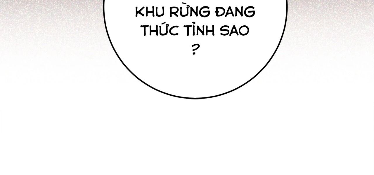 Chiến Binh Xương Trắng Thất Thủ Chapter 318 - Trang 2