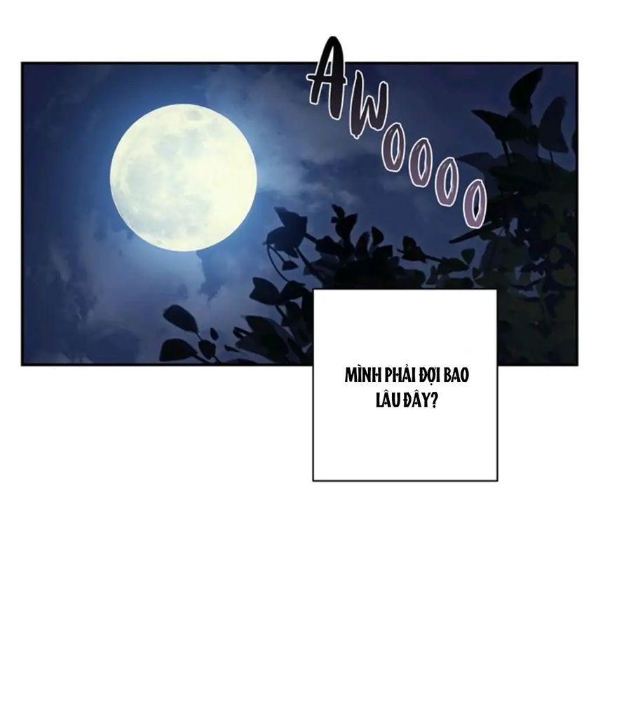 Chiến Binh Xương Trắng Thất Thủ Chapter 60 - Trang 2