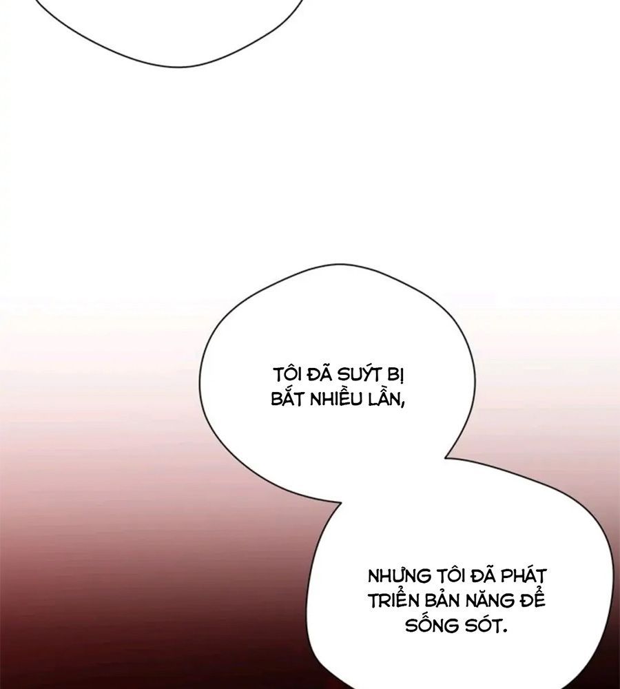 Chiến Binh Xương Trắng Thất Thủ Chapter 80 - Trang 2