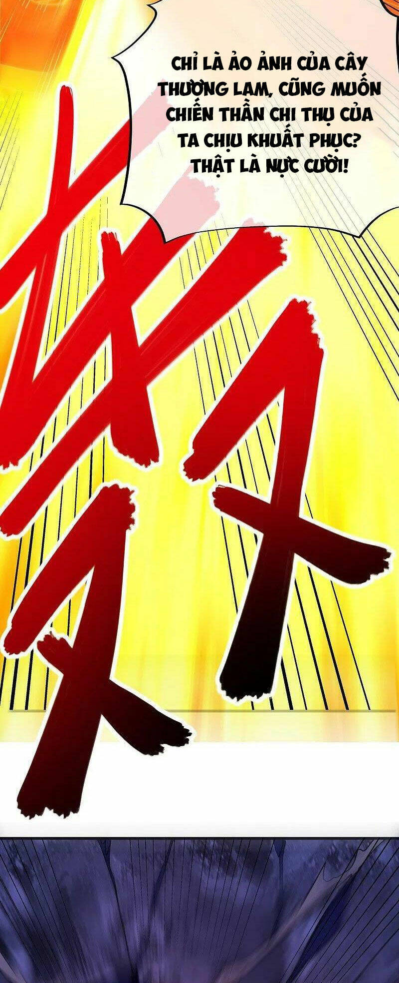 Chiến Hồn Tuyệt Thế Chapter 482 - Trang 2