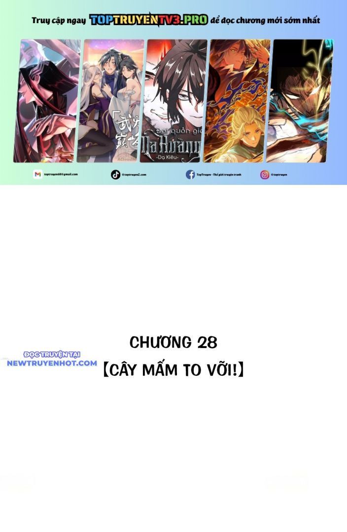 Chiến Loạn Thời Không Chapter 28 - Trang 2