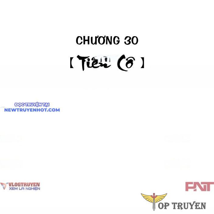Chiến Loạn Thời Không Chapter 30 - Trang 2