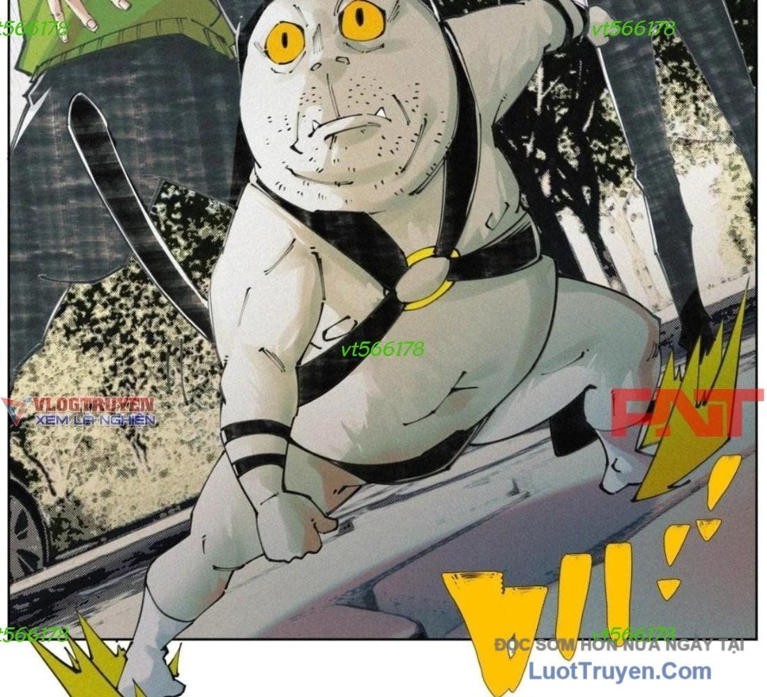 Chiến Loạn Thời Không Chapter 75 - Trang 2