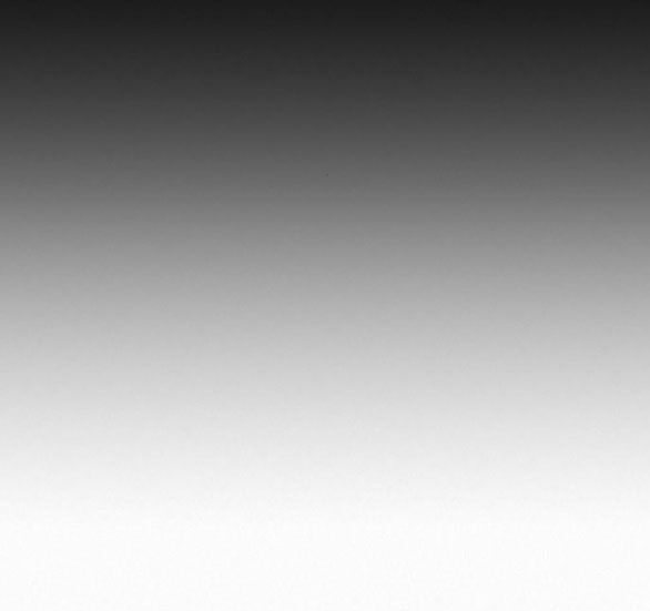 Chiến Lược: Tình Yêu Trong Sáng Chapter 60.1 - Trang 2