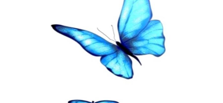 Chiền Thần Tự Sát Hồi Quy Chapter 47 - Trang 2