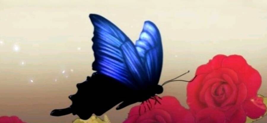 Chiền Thần Tự Sát Hồi Quy Chapter 47 - Trang 2