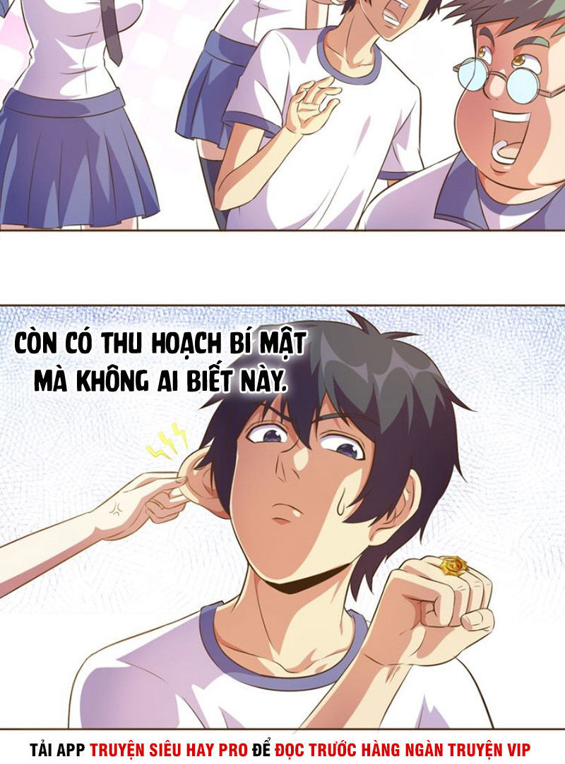 Chín Năm Nghĩa Vụ Tu Chân Chapter 19 - Trang 2