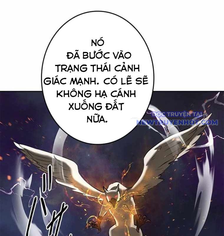 Chinh Phục Hầm Ngục Bằng Sao Chép Và Dán! Chapter 31 - Trang 2