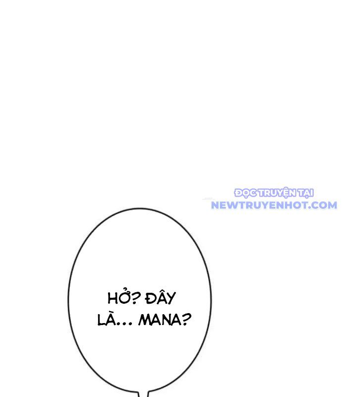 Chinh Phục Hầm Ngục Bằng Sao Chép Và Dán! Chapter 32 - Trang 2