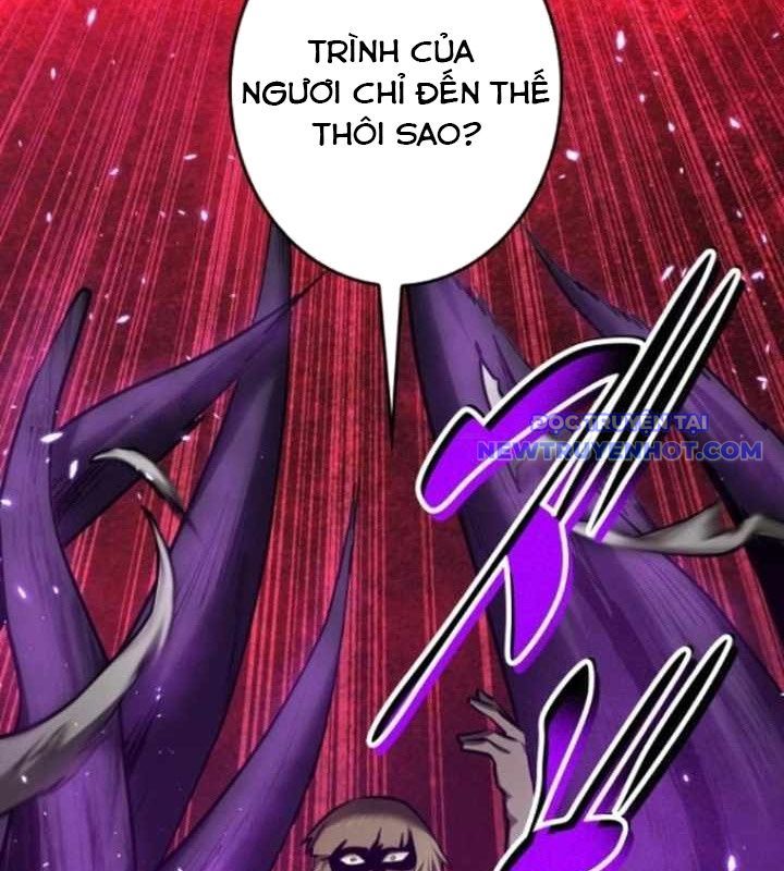 Chinh Phục Hầm Ngục Bằng Sao Chép Và Dán! Chapter 35 - Trang 2