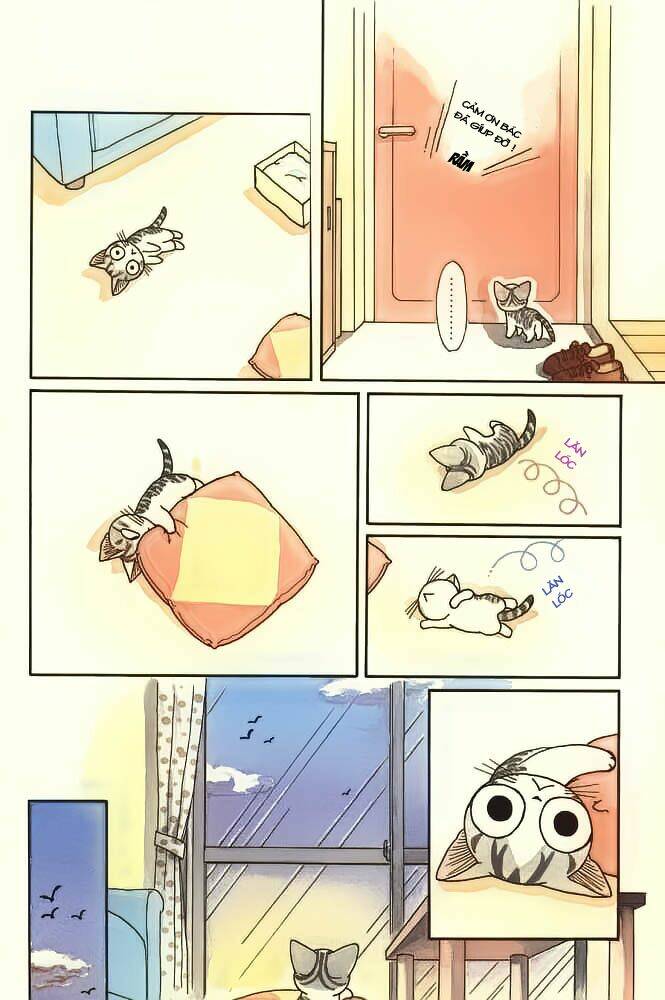 Chi’S Sweet Home Chapter 20 - Trang 2