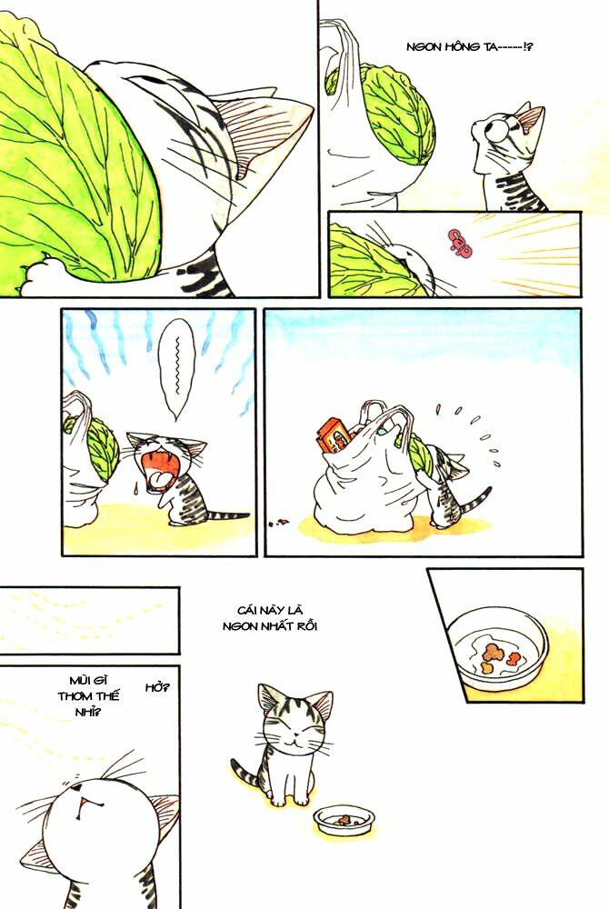 Chi’S Sweet Home Chapter 21 - Trang 2