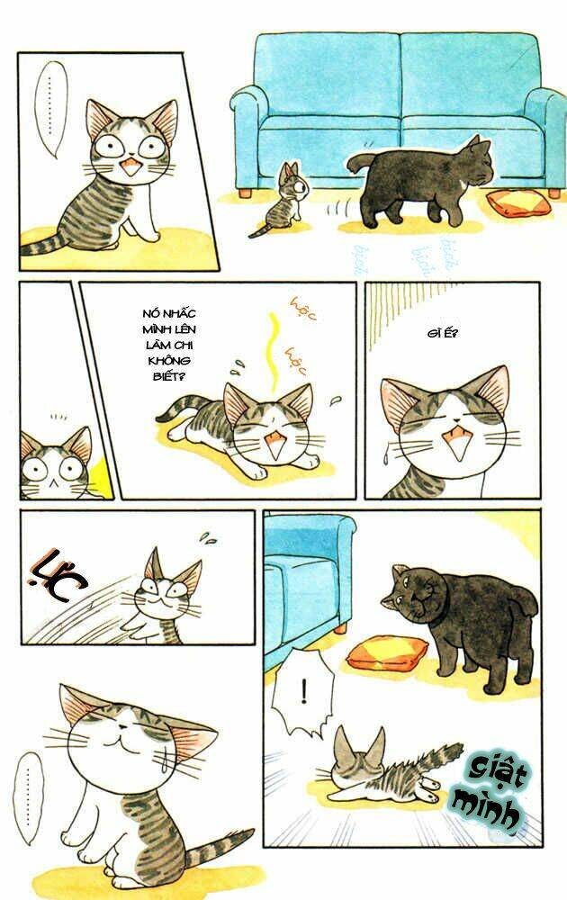 Chi’S Sweet Home Chapter 29 - Trang 2