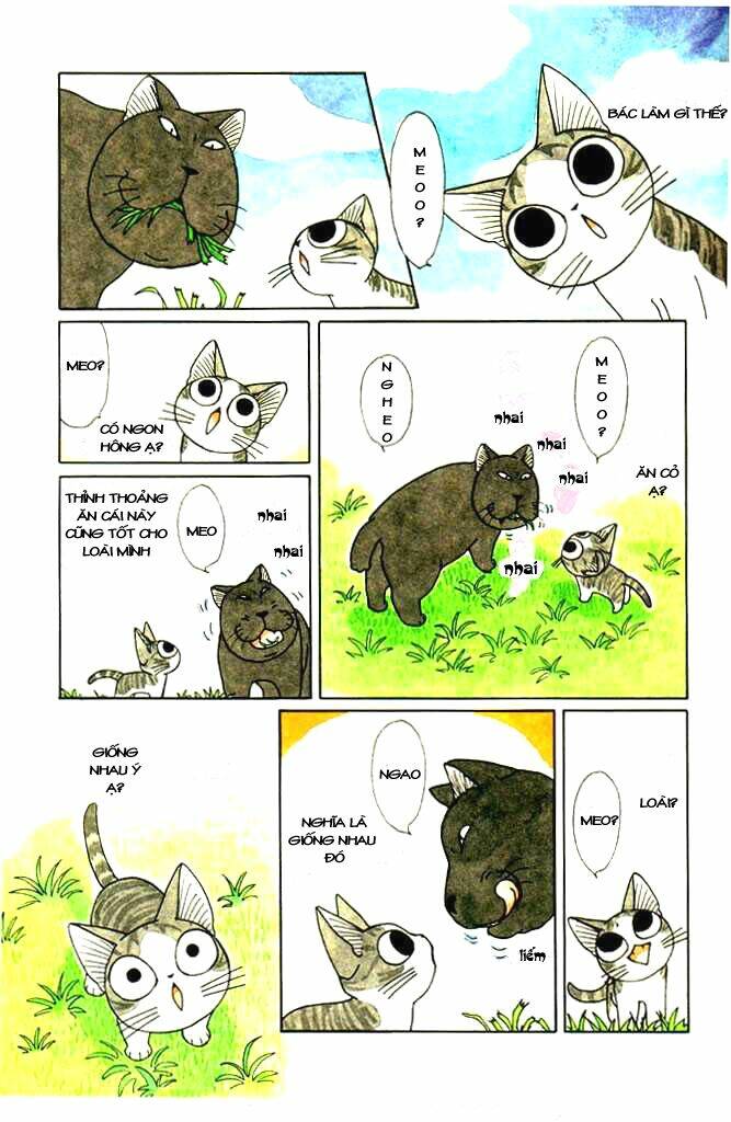 Chi’S Sweet Home Chapter 34 - Trang 2