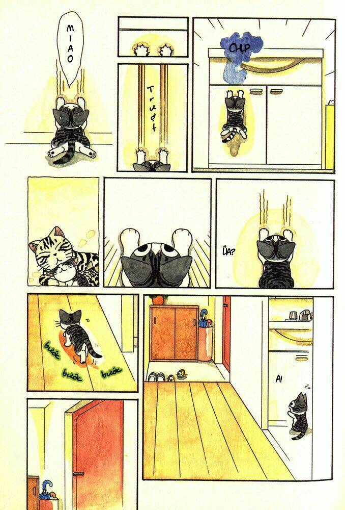 Chi’S Sweet Home Chapter 4 - Trang 2