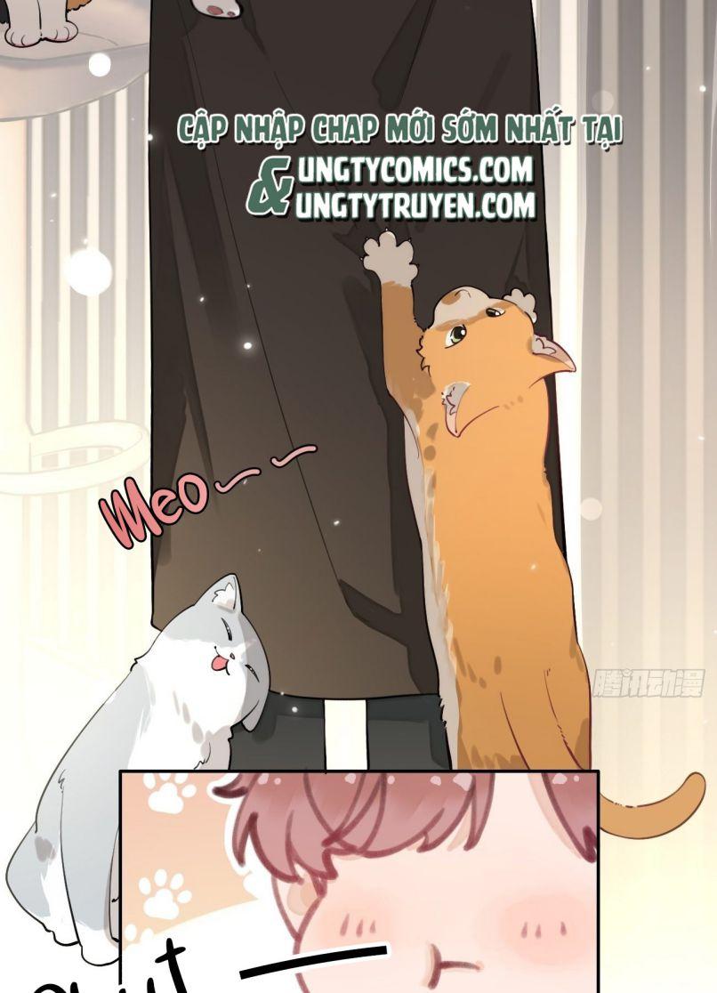 Chó Lớn Bắt Nạt Chủ Chapter 6 - Trang 2