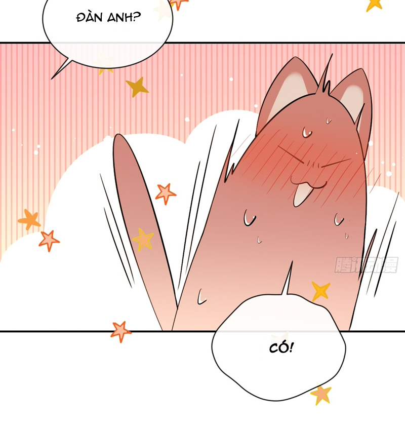 Chó Lớn Bắt Nạt Chủ Chapter 72 - Trang 2