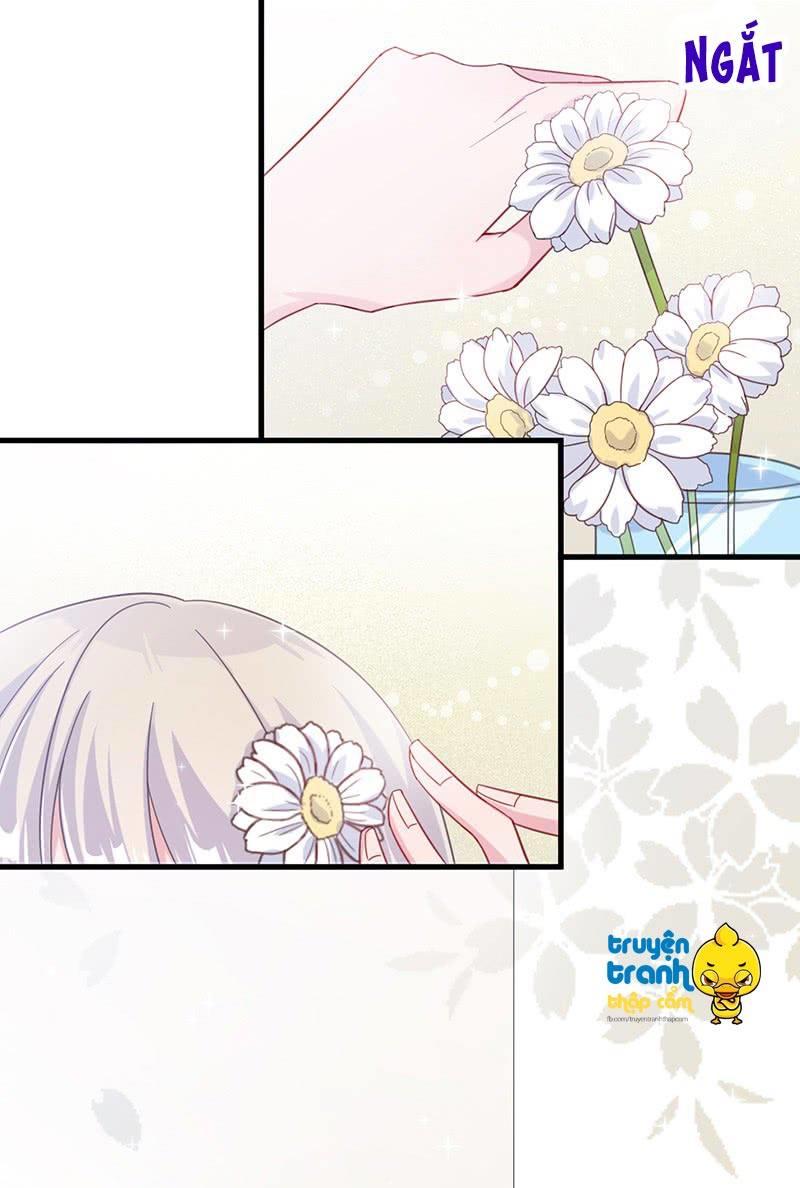 Chọc Tới Chủ Tịch Tổng Tài 2 Chapter 19 - Trang 2