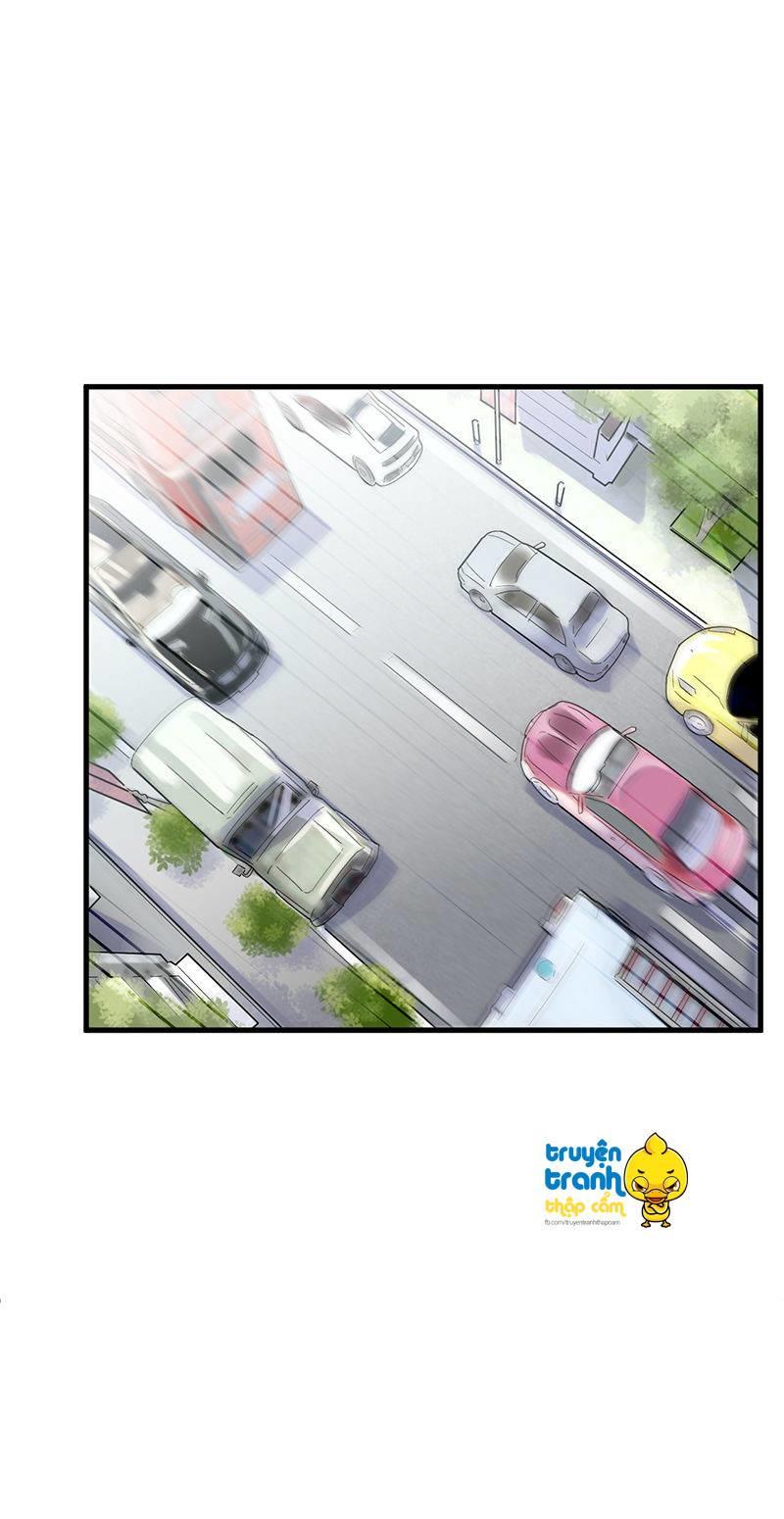 Chọc Tới Chủ Tịch Tổng Tài 2 Chapter 44 - Trang 2