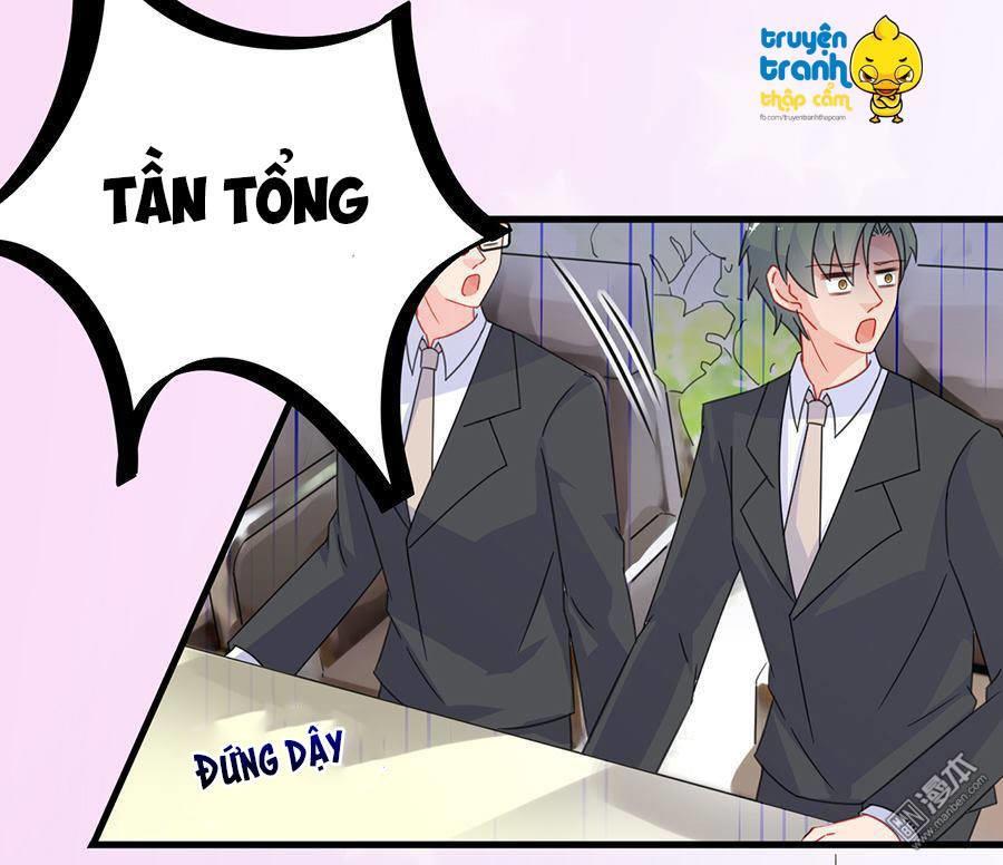 Chọc Tới Chủ Tịch Tổng Tài 2 Chapter 5 - Trang 2