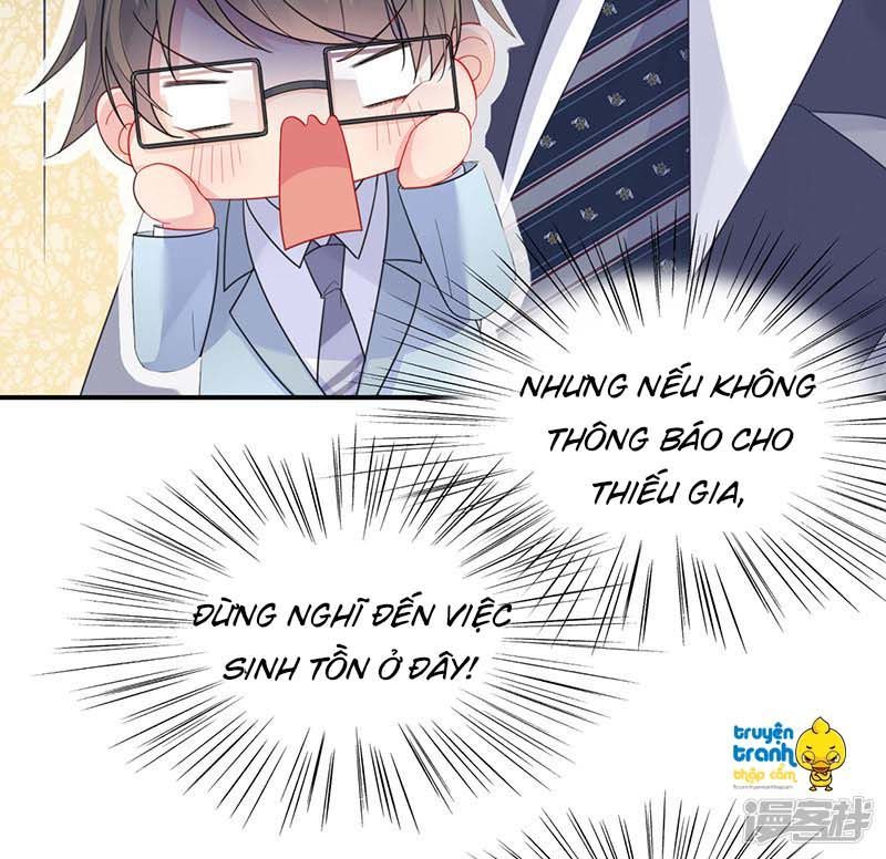 Chọc Tới Chủ Tịch Tổng Tài 2 Chapter 81 - Trang 2