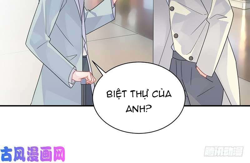 Chọc Tới Chủ Tịch Tổng Tài 2 Chapter 81 - Trang 2