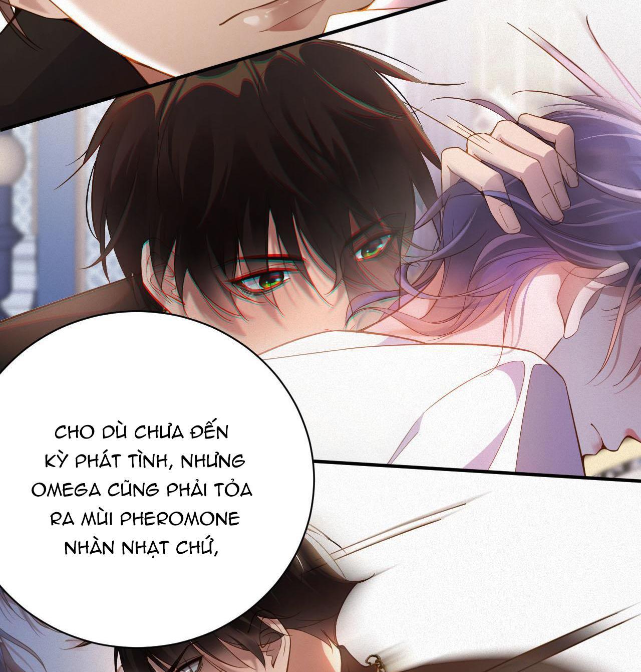 Chồng Cũ Muốn Tái Hôn Lần Nữa Chapter 1 - Trang 2