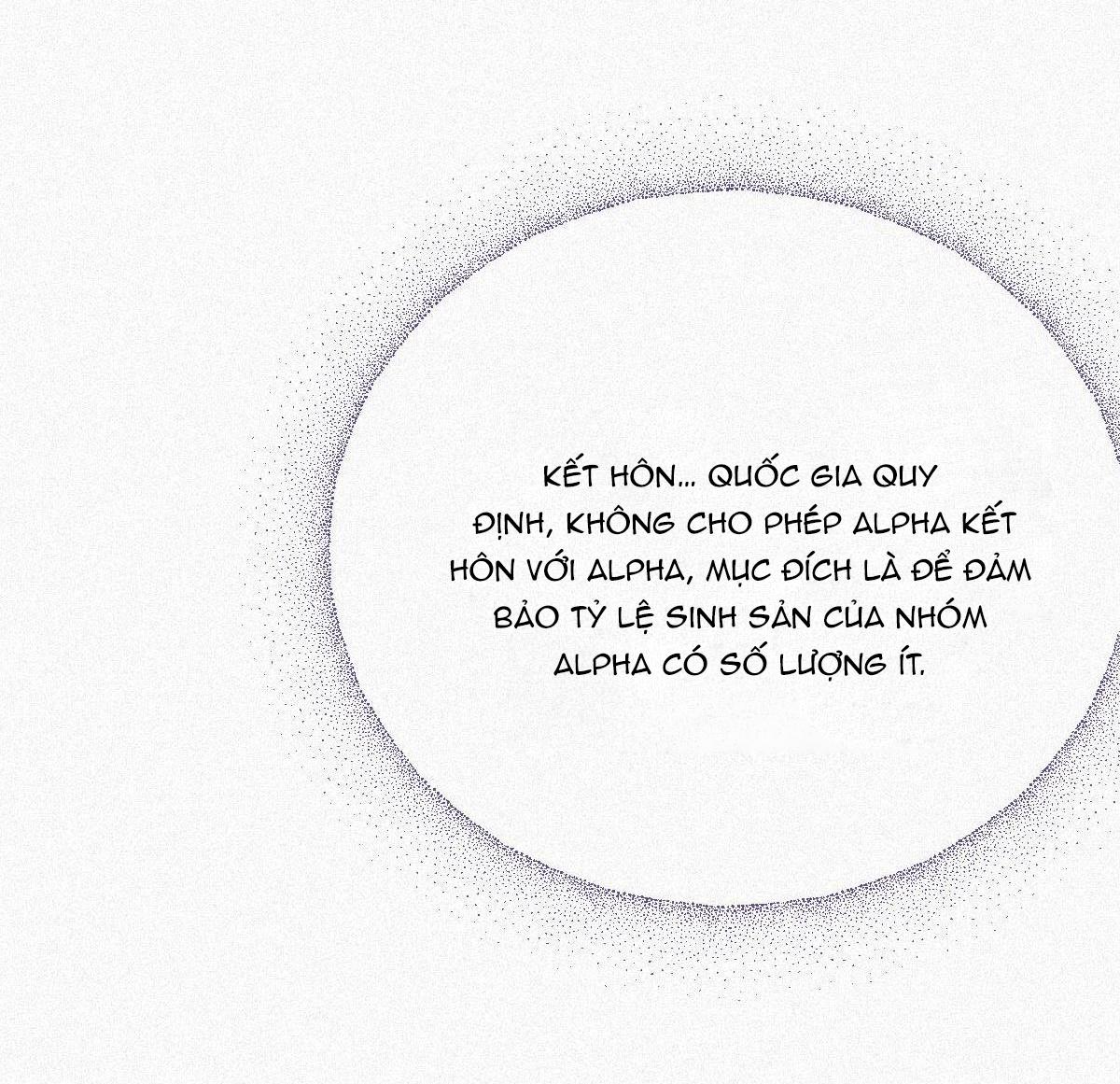 Chồng Cũ Muốn Tái Hôn Lần Nữa Chapter 2 - Trang 2