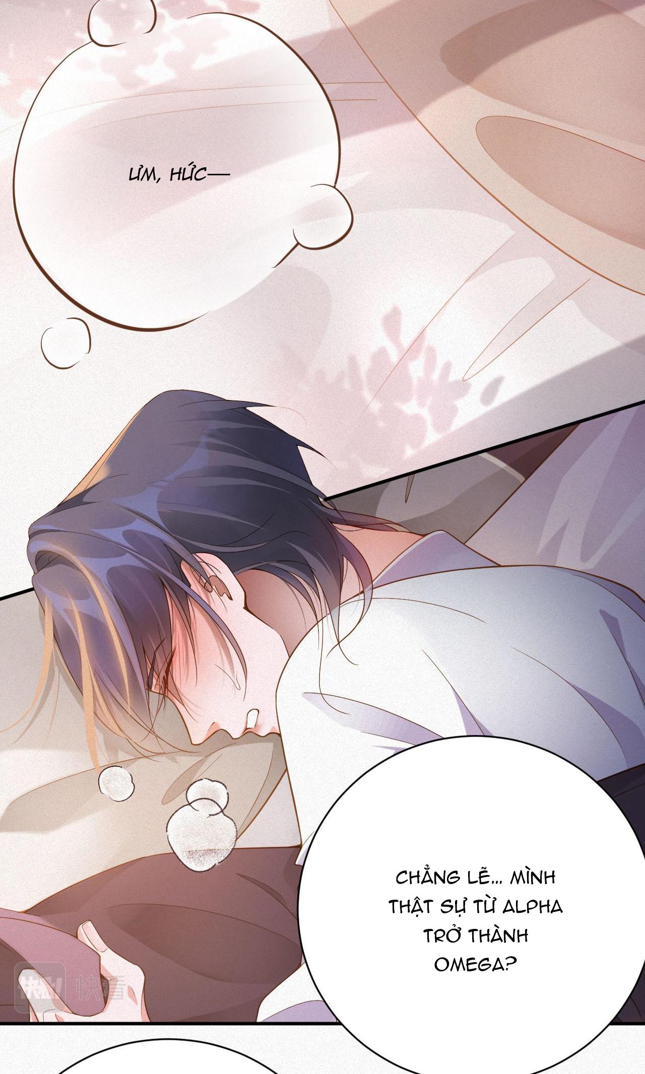 Chồng Cũ Muốn Tái Hôn Lần Nữa Chapter 3 - Trang 2