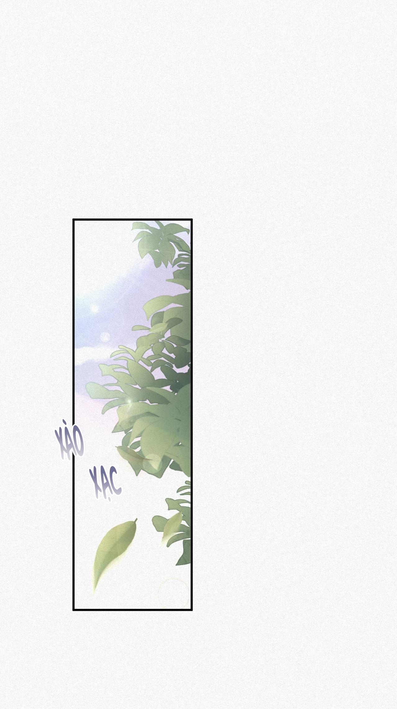 Chồng Cũ Muốn Tái Hôn Lần Nữa Chapter 4 - Trang 2