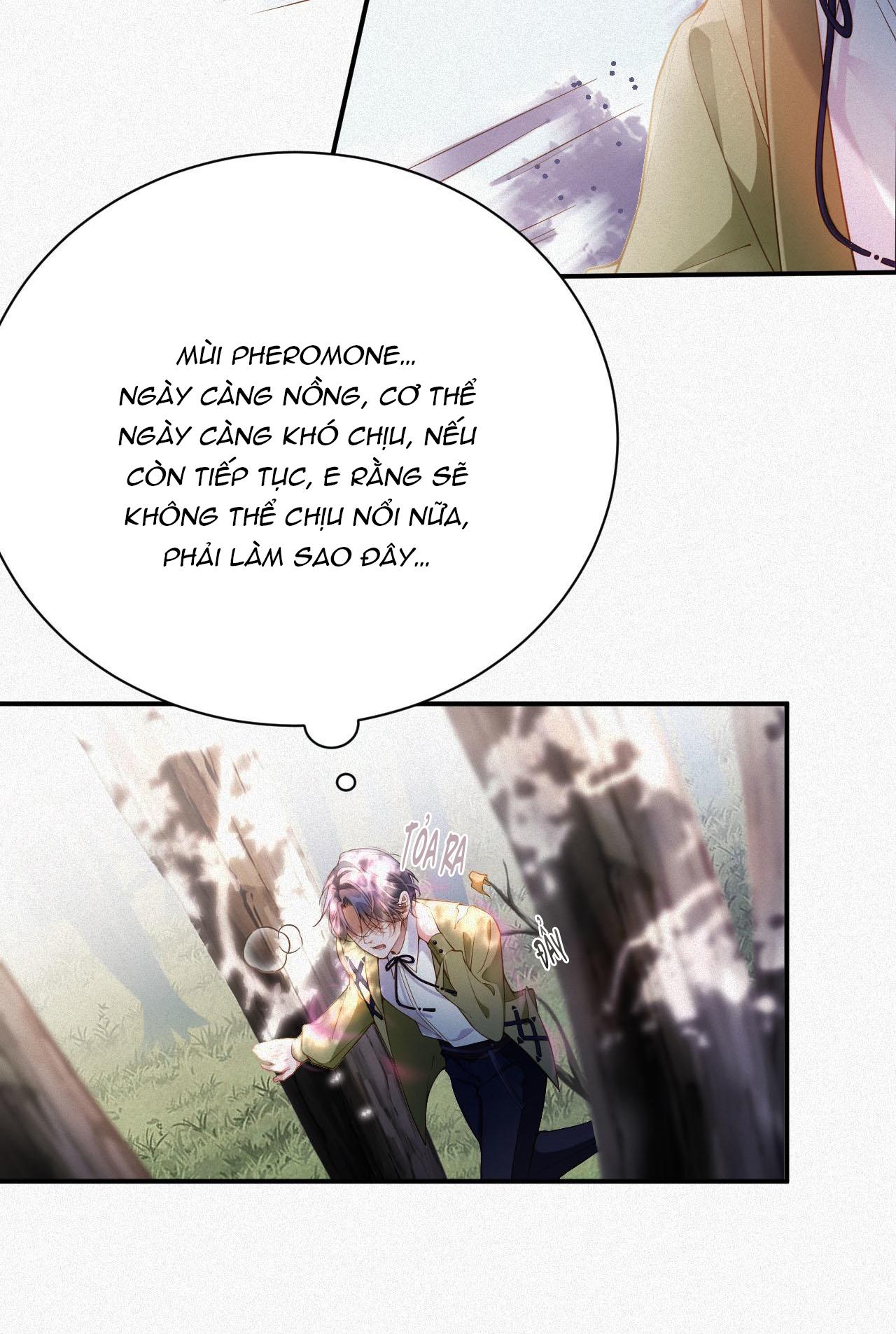 Chồng Cũ Muốn Tái Hôn Lần Nữa Chapter 4 - Trang 2