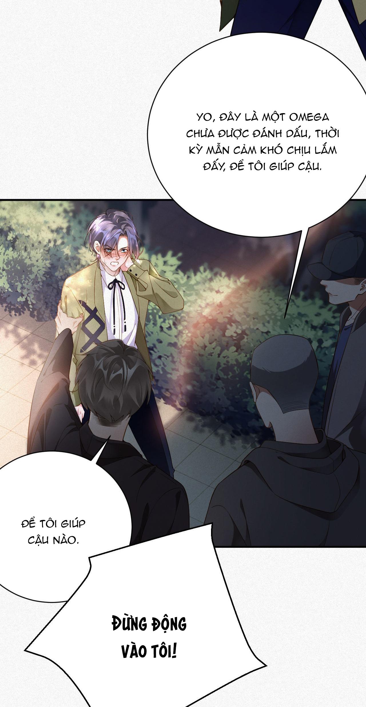 Chồng Cũ Muốn Tái Hôn Lần Nữa Chapter 4 - Trang 2