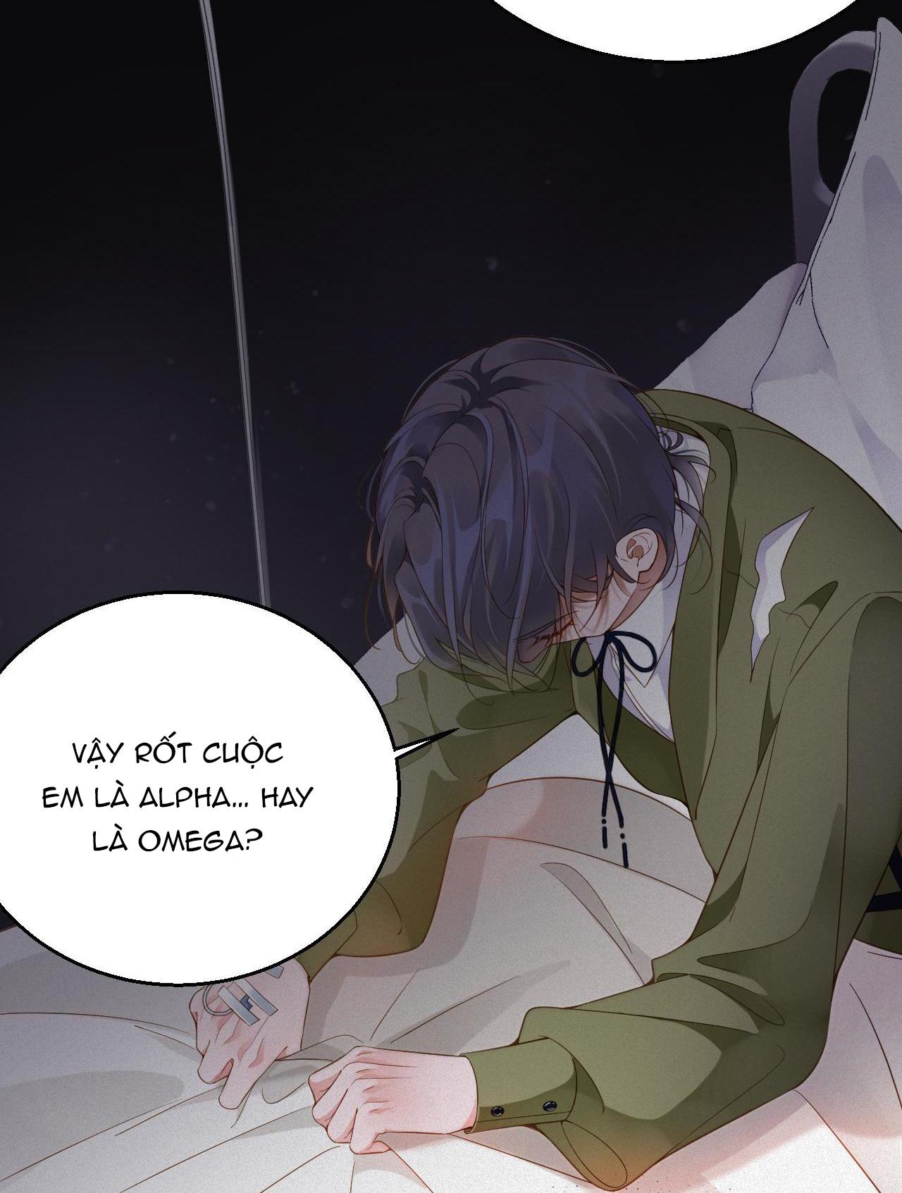 Chồng Cũ Muốn Tái Hôn Lần Nữa Chapter 5 - Trang 2