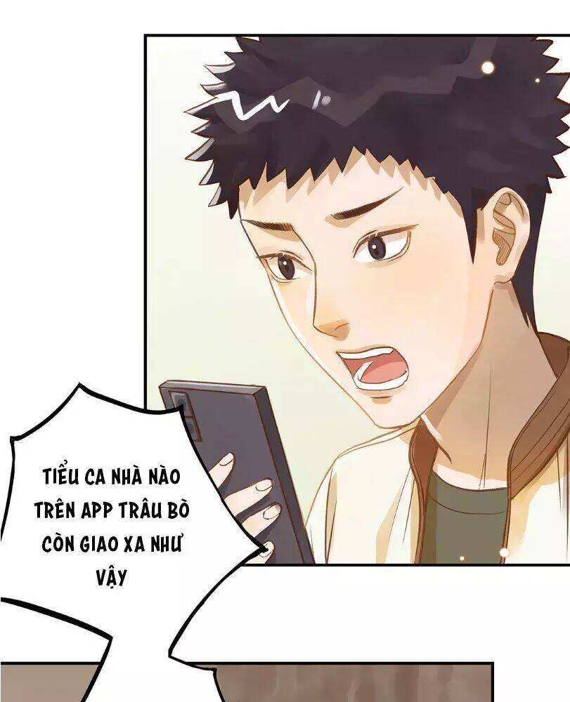 Chồng Trước 18 Tuổi Chapter 11 - Trang 2