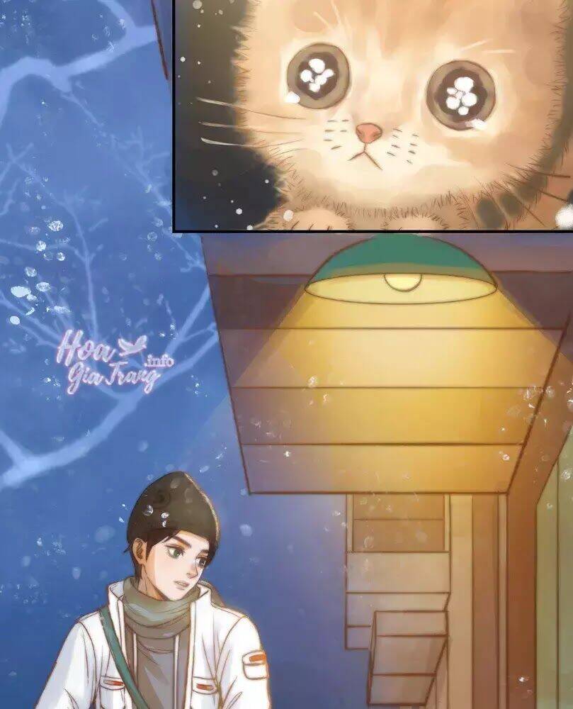 Chồng Trước 18 Tuổi Chapter 12 - Trang 2