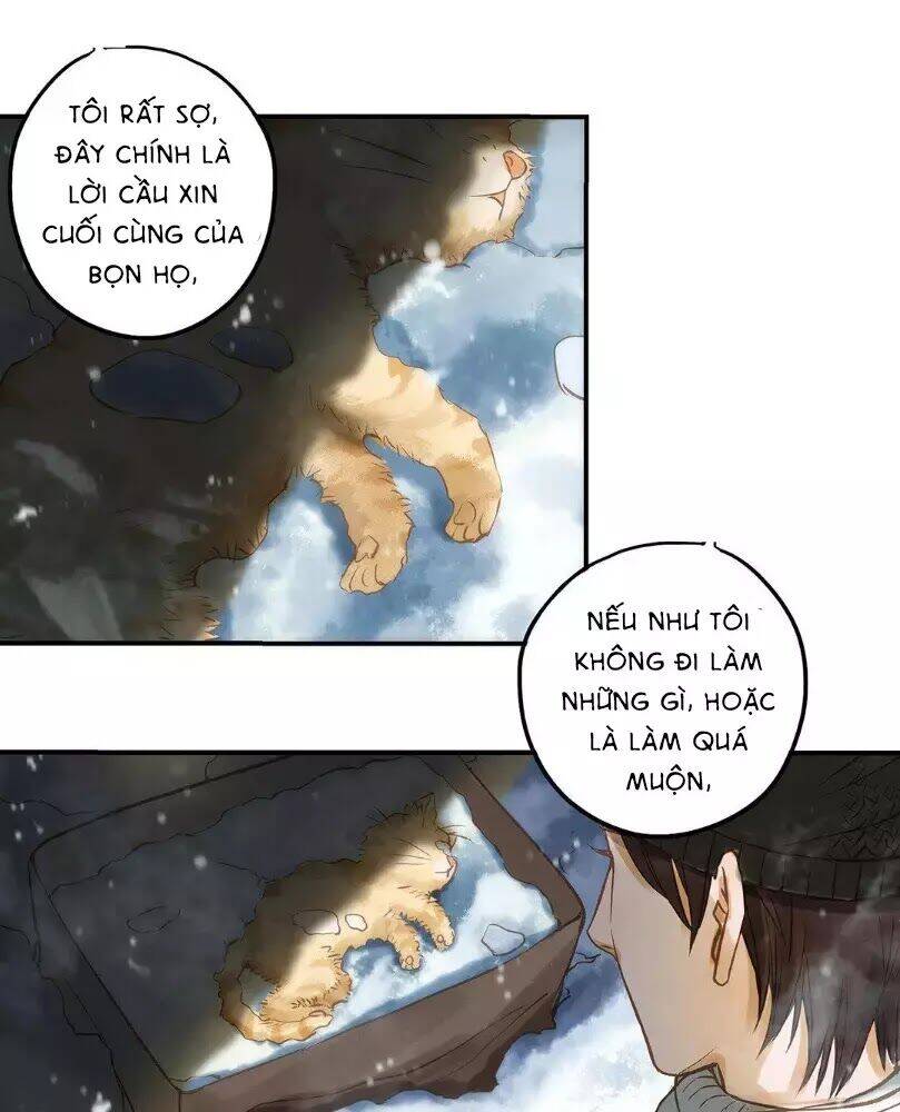 Chồng Trước 18 Tuổi Chapter 12 - Trang 2