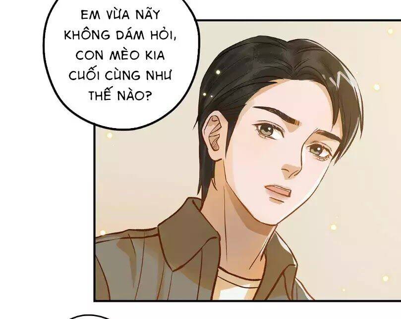 Chồng Trước 18 Tuổi Chapter 12 - Trang 2