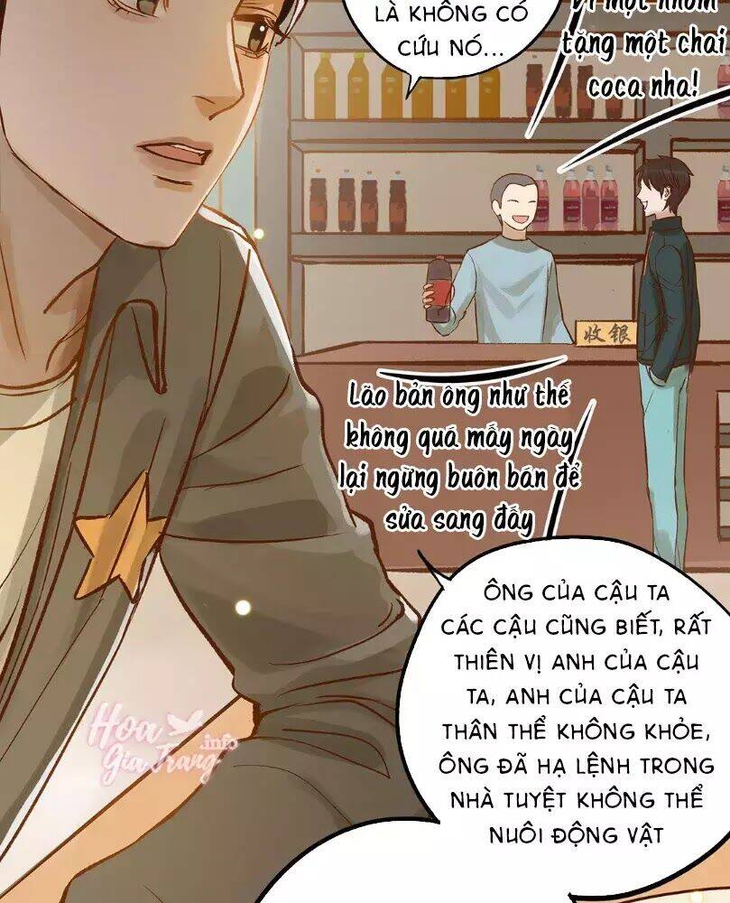 Chồng Trước 18 Tuổi Chapter 12 - Trang 2
