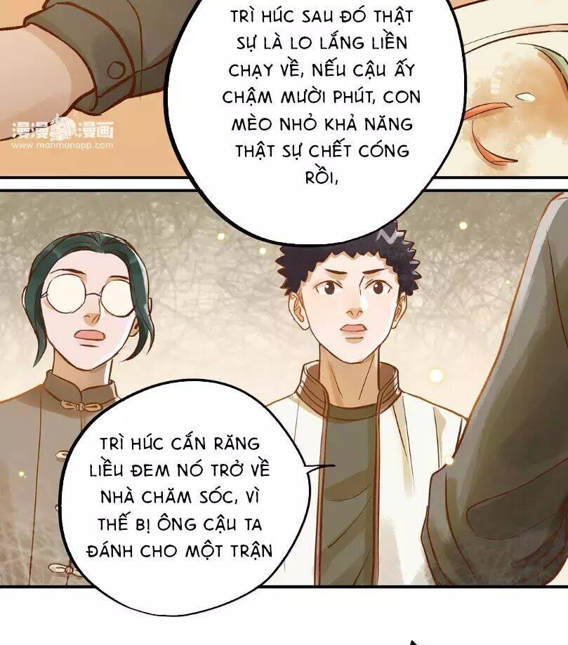 Chồng Trước 18 Tuổi Chapter 12 - Trang 2