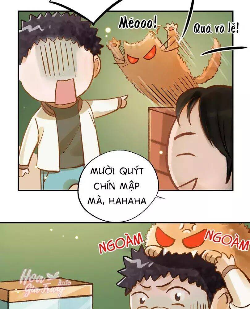 Chồng Trước 18 Tuổi Chapter 12 - Trang 2