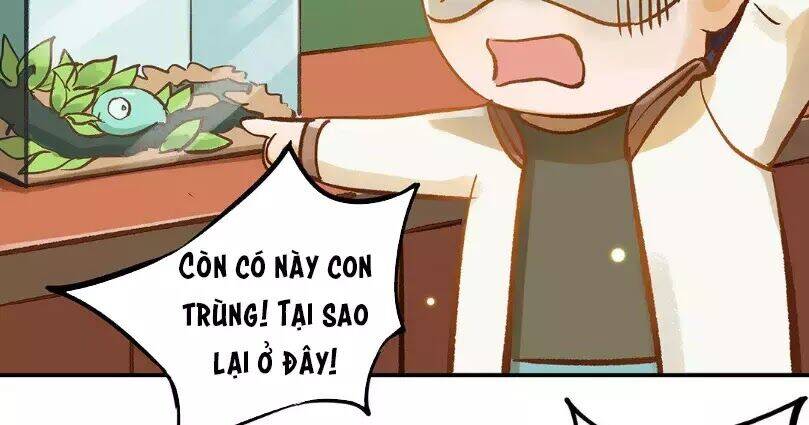 Chồng Trước 18 Tuổi Chapter 12 - Trang 2