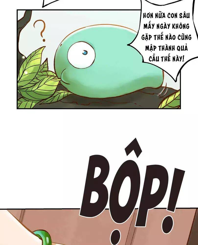 Chồng Trước 18 Tuổi Chapter 12 - Trang 2