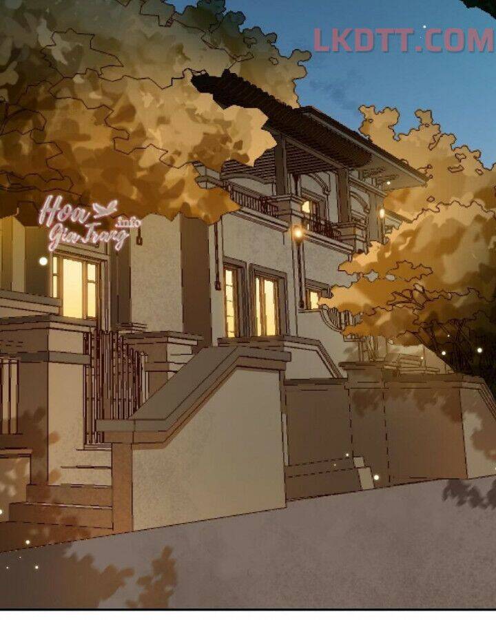 Chồng Trước 18 Tuổi Chapter 17 - Trang 2