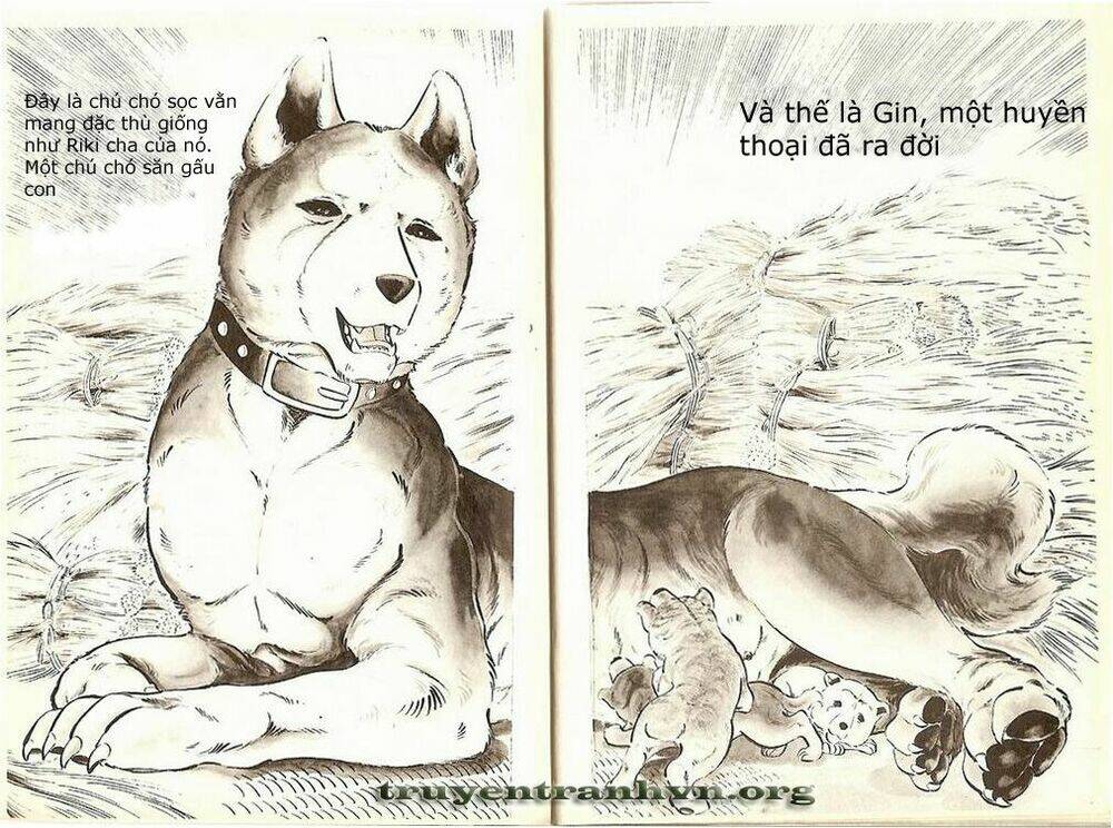 Chú Chó Có Nghĩa – Ginga Nagareboshi Gin Chapter 1 - Trang 2