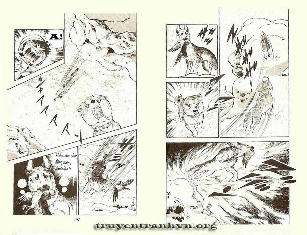 Chú Chó Có Nghĩa – Ginga Nagareboshi Gin Chapter 4 - Trang 2