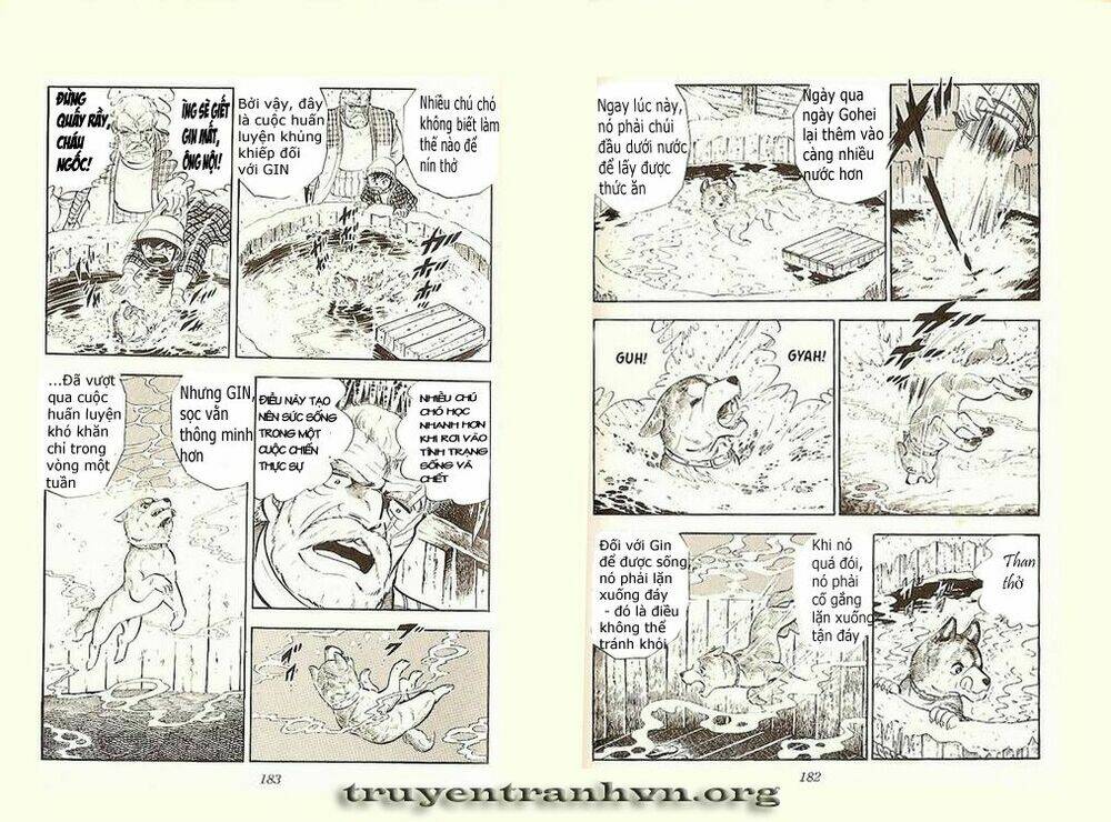 Chú Chó Có Nghĩa – Ginga Nagareboshi Gin Chapter 4 - Trang 2