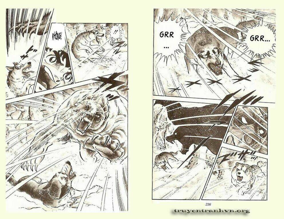 Chú Chó Có Nghĩa – Ginga Nagareboshi Gin Chapter 5 - Trang 2