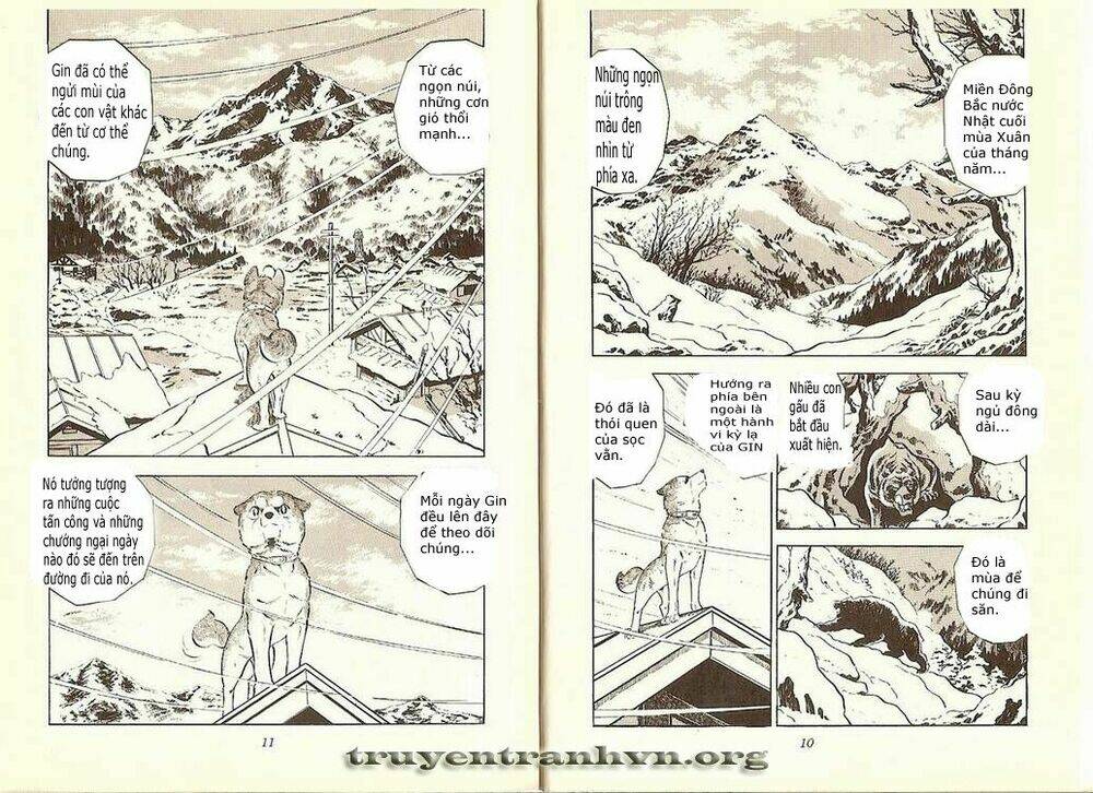 Chú Chó Có Nghĩa – Ginga Nagareboshi Gin Chapter 7 - Trang 2